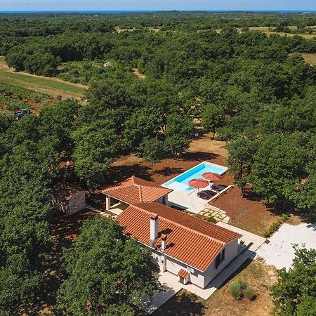 Villa Martinetinka Vodnjan Dış mekan fotoğraf