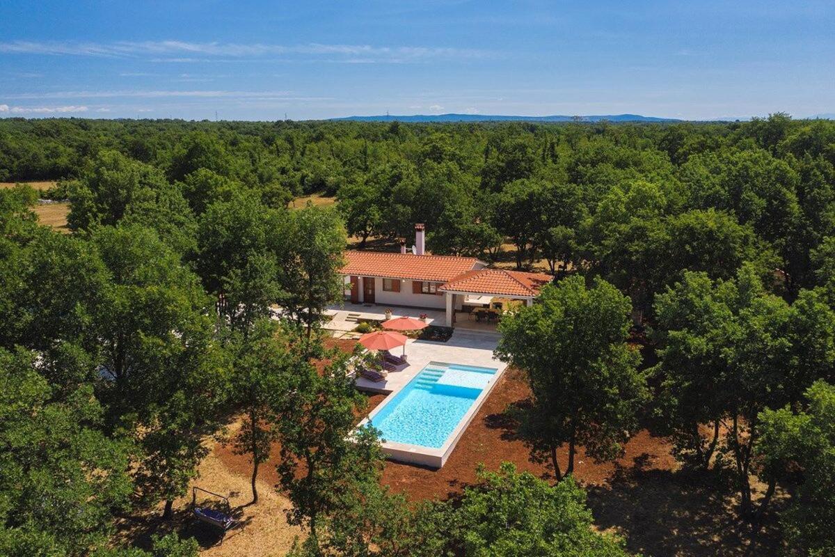 Villa Martinetinka Vodnjan Dış mekan fotoğraf