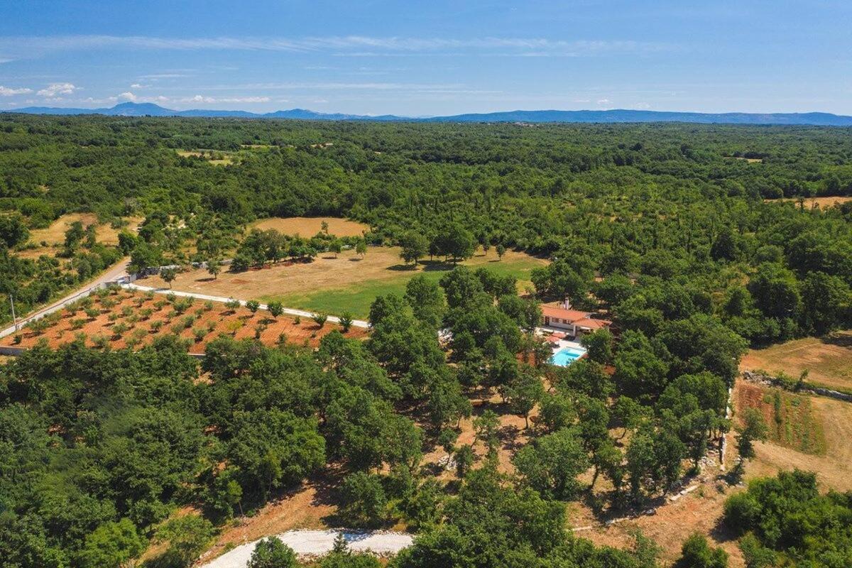 Villa Martinetinka Vodnjan Dış mekan fotoğraf