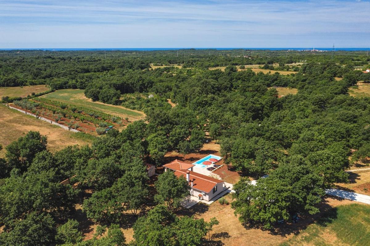 Villa Martinetinka Vodnjan Dış mekan fotoğraf
