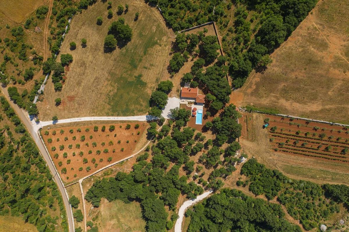 Villa Martinetinka Vodnjan Dış mekan fotoğraf