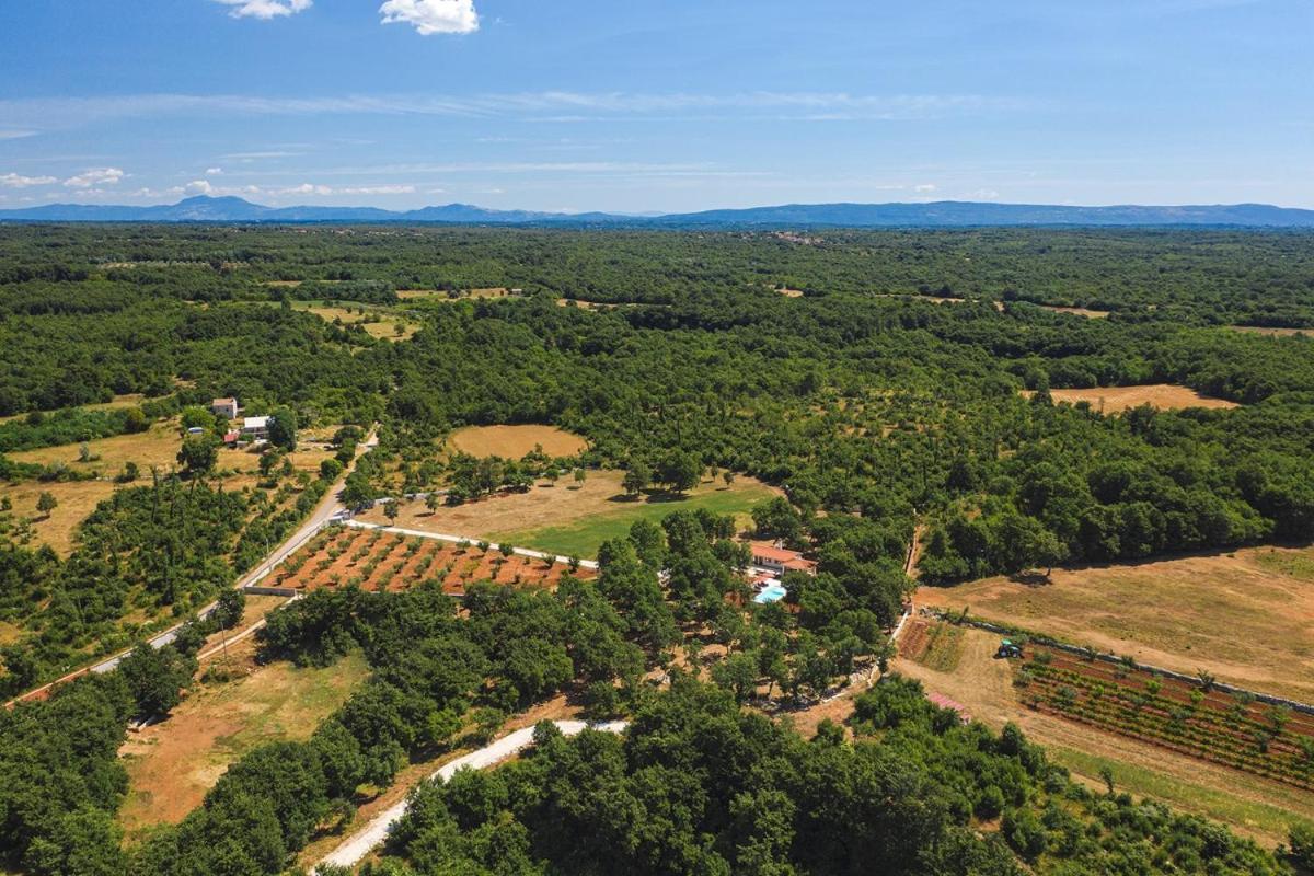 Villa Martinetinka Vodnjan Dış mekan fotoğraf