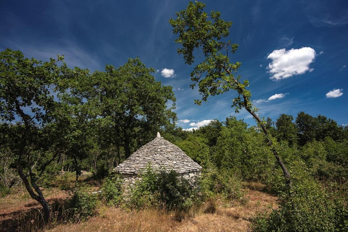 Villa Martinetinka Vodnjan Dış mekan fotoğraf