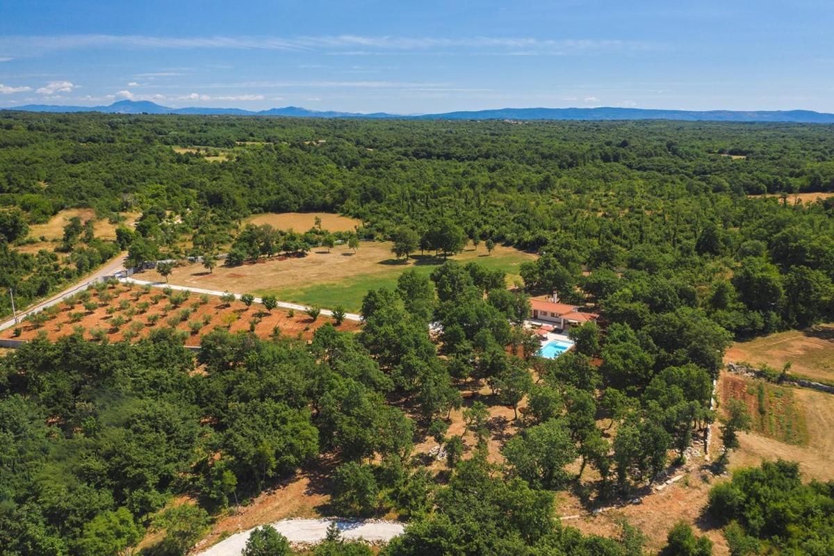 Villa Martinetinka Vodnjan Dış mekan fotoğraf